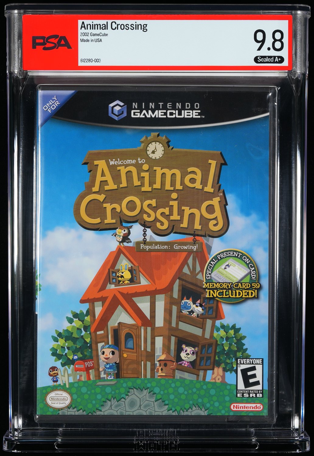 Animal Crossing graded slab