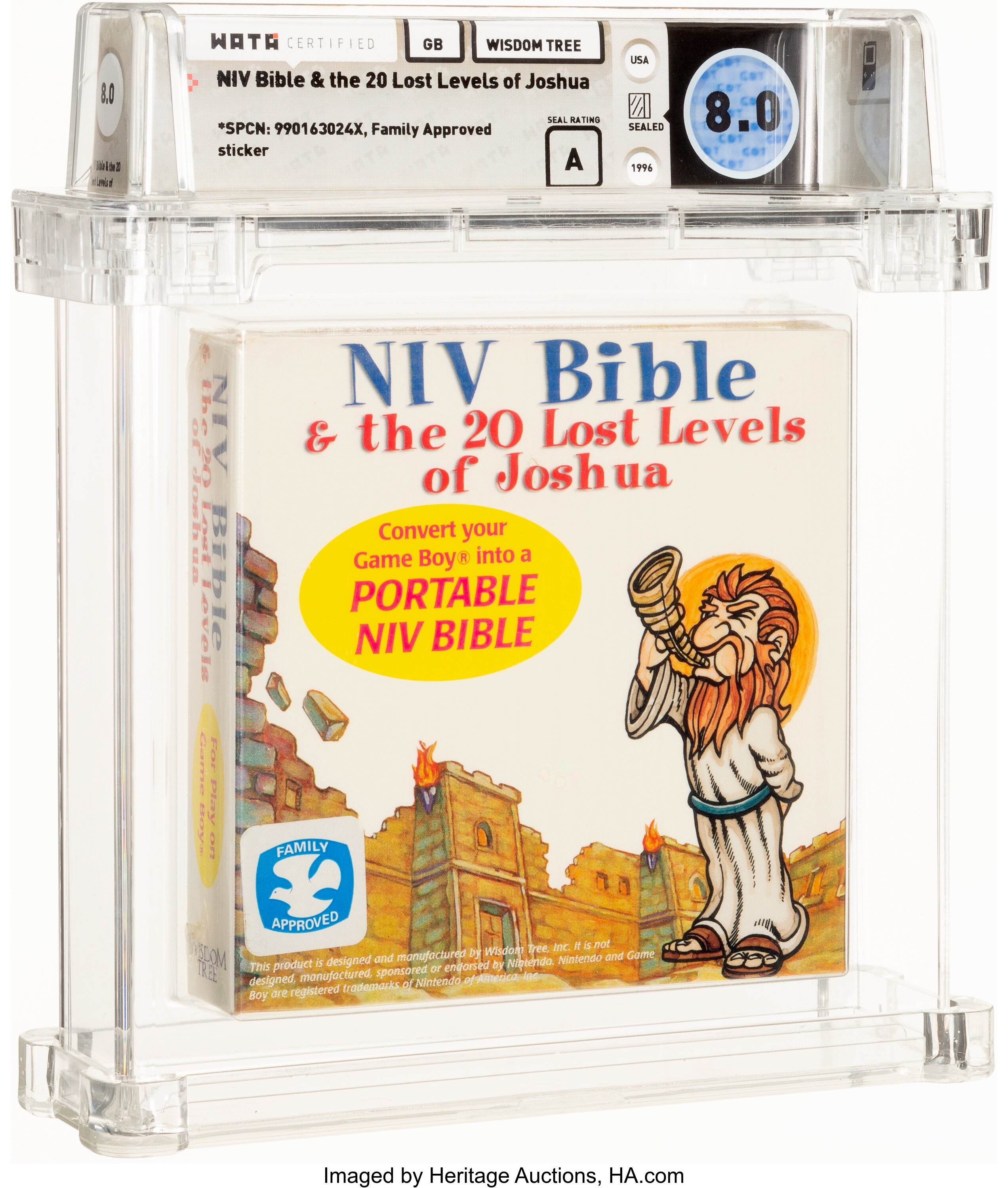 NIV Bible & the 20 Lost Levels of Joshua (Game Boy)
