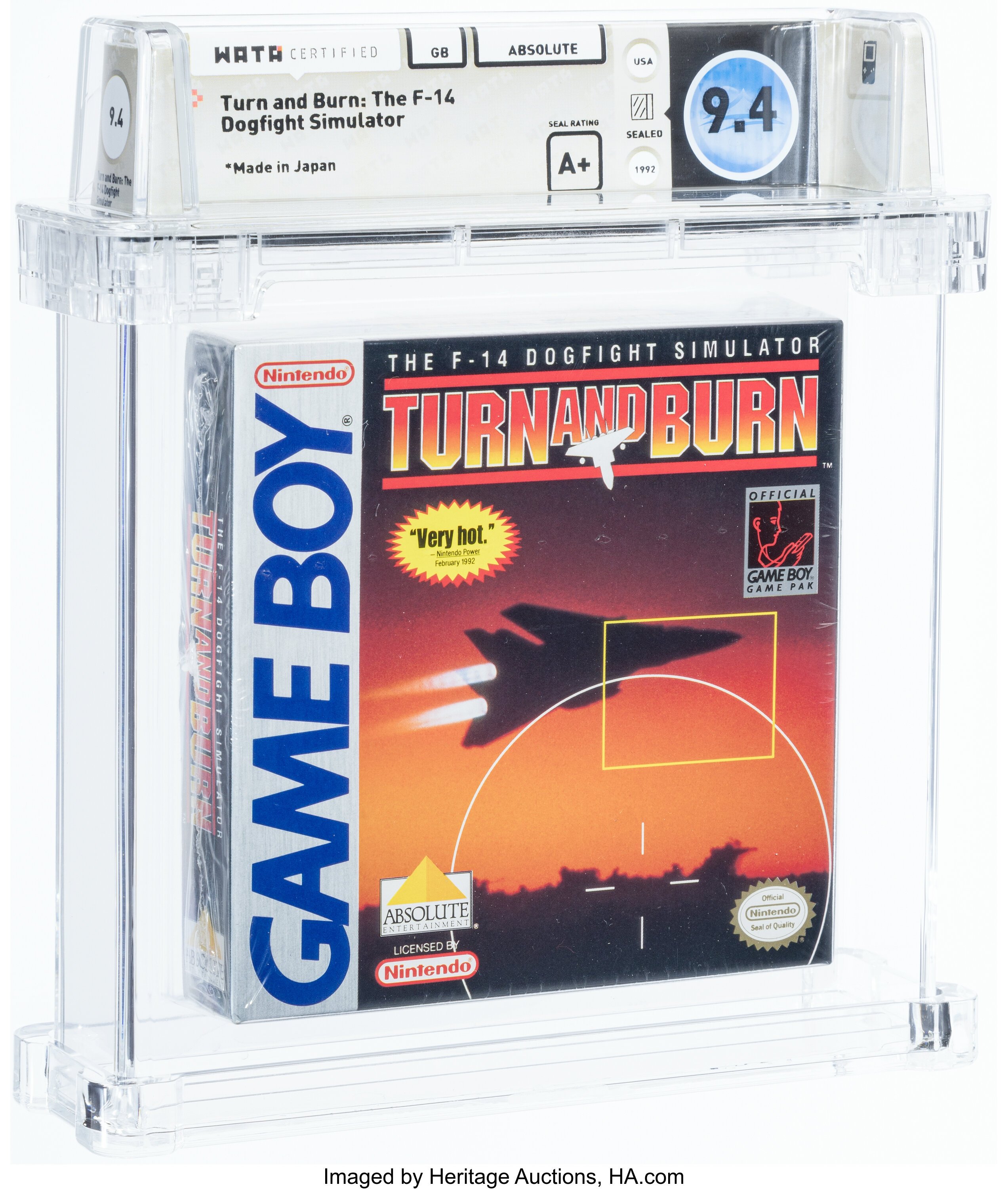 Turn and Burn: The F-14 Dogfight Simulator (Game Boy)